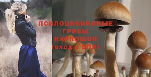 a pvp Няндома