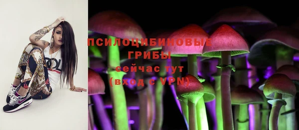 a pvp Няндома