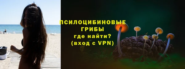 a pvp Няндома