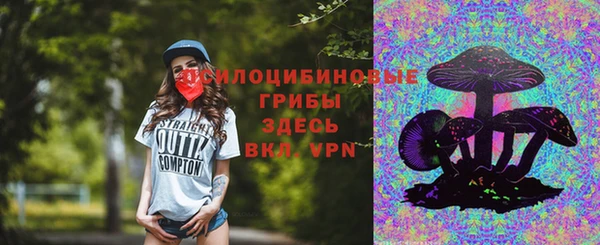 a pvp Няндома