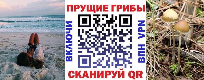 Псилоцибиновые грибы мицелий  Игра 